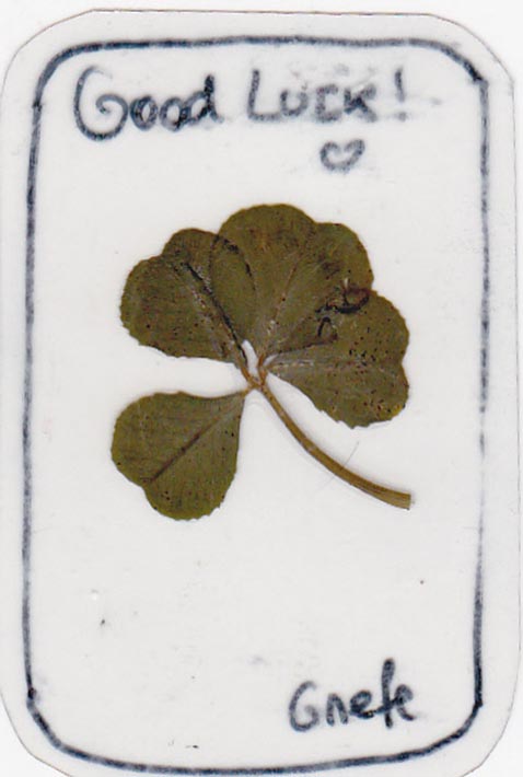 portafortuna1