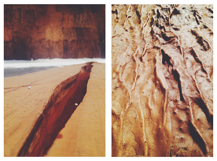 Giuseppe-Penone---Sculture-di-linfa---MAXXI---Roma