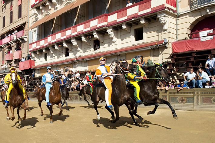 fotopaliodisiena