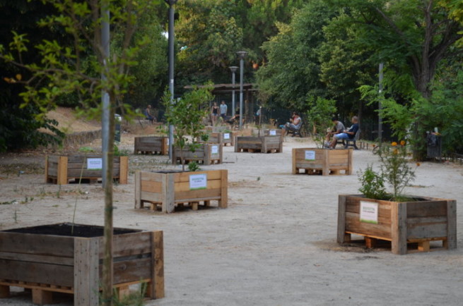 DSC_0036-FILEminimizer-655x434