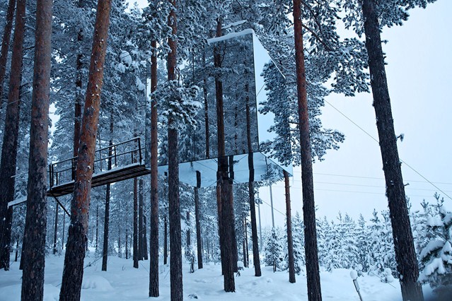 Dida (Una delle stanze del Tree Hotel nelle foreste di Harads, in Svezia)