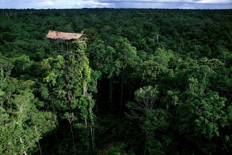 dida- casa korowai, no descrizione