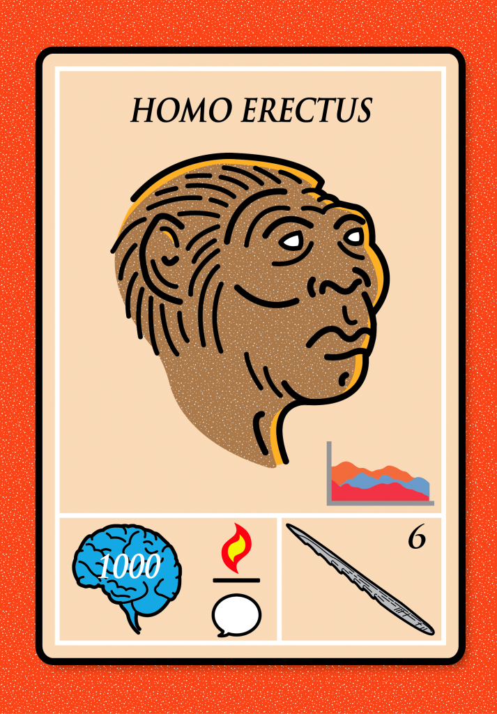 diversamentehabilis c3-01
