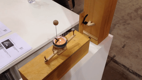 giphy (10)