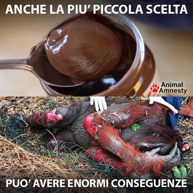 tormentoni_carne