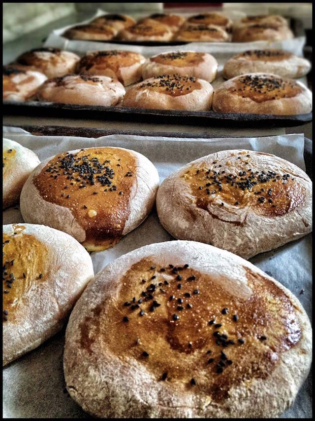 pane burgers