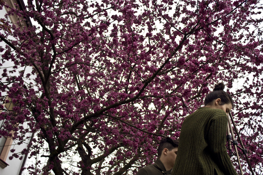 Zsuzsa_Darabtumblr_n83kbcLIhJ1slc0vqo1_1280