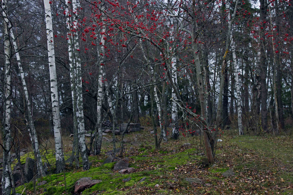 Zsuzsa_Darabtumblr_nhv789zRBh1slc0vqo1_1280