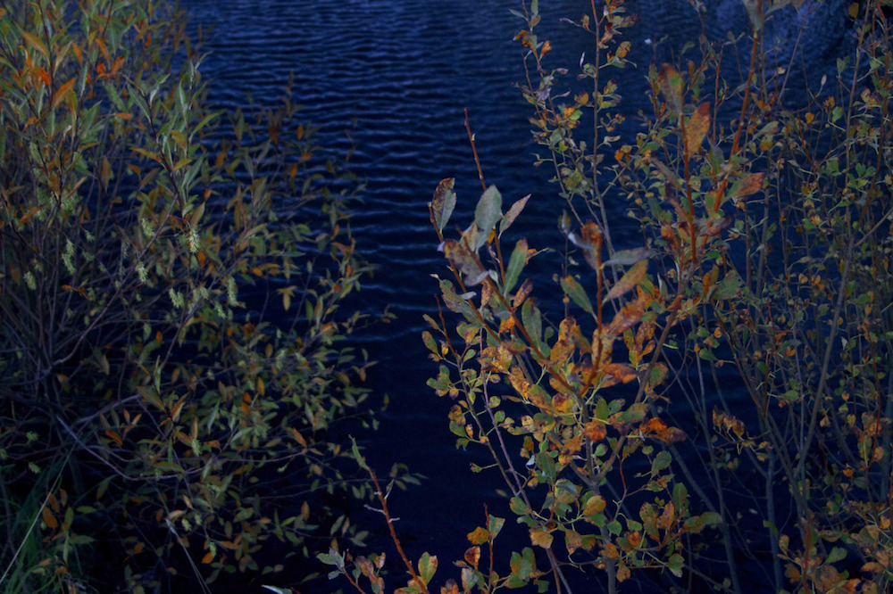 Zsuzsa_Darabtumblr_niwob5AsGh1slc0vqo1_1280