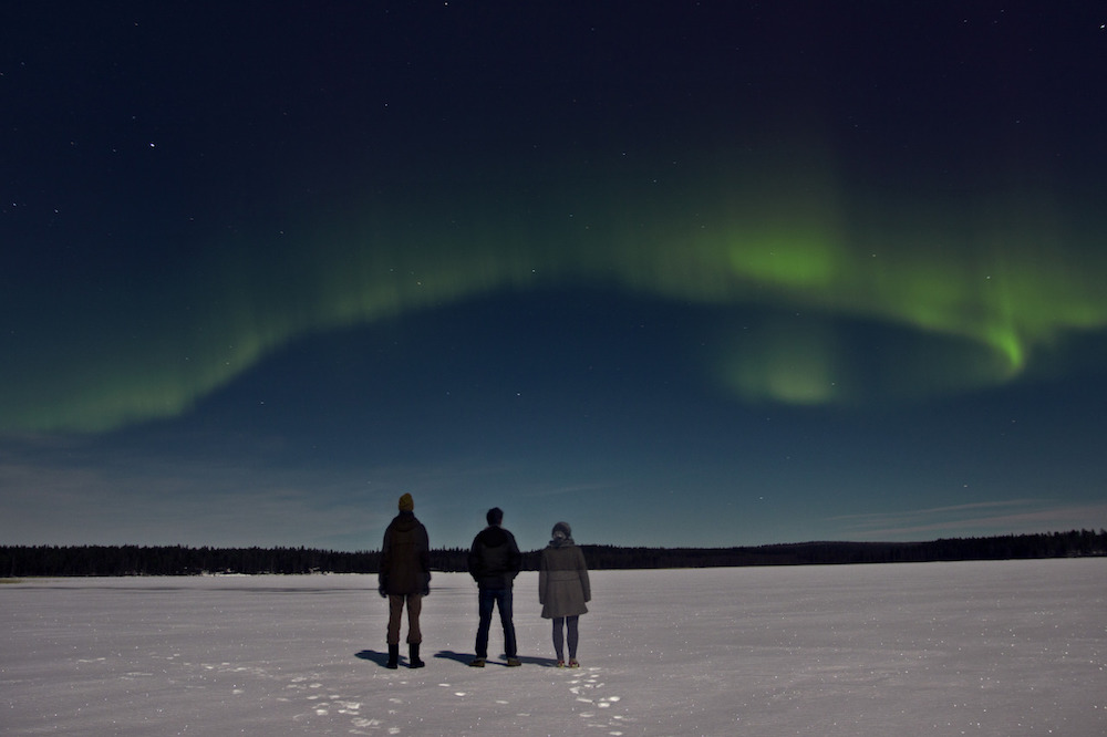 Zsuzsa_Darabtumblr_nmhs78XrRD1slc0vqo1_1280