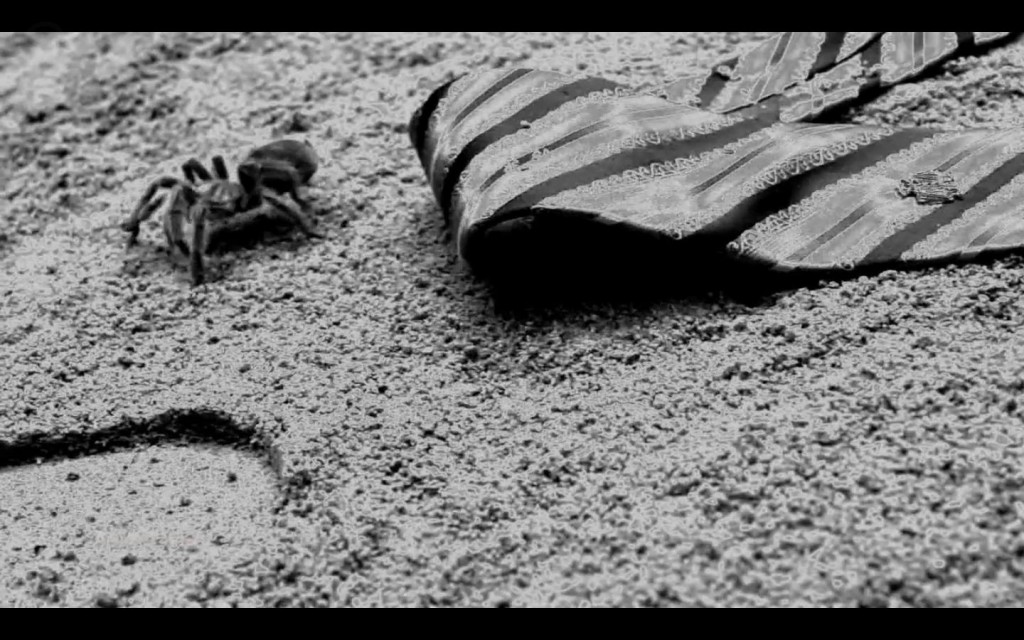 12909468_10204976402324546_2126100794428104566_o