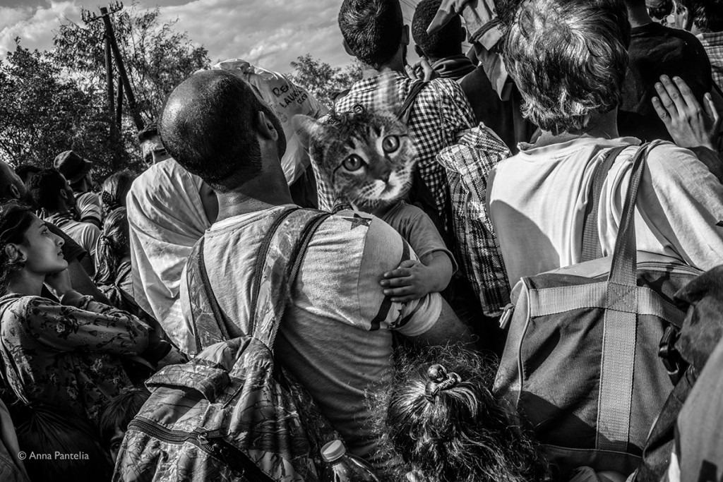 93368136146883.5710c05a21cd0