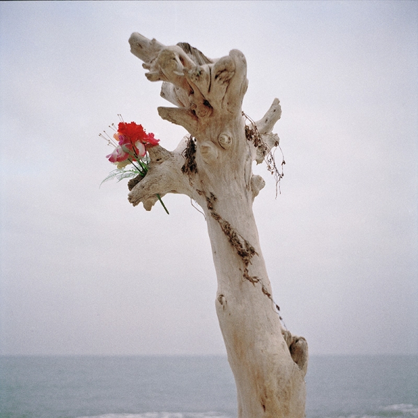 Zhu Lanqing11_untitled01