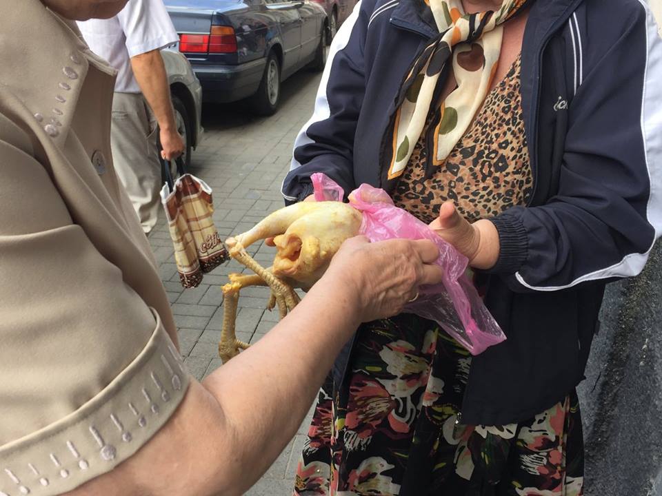 pollo
