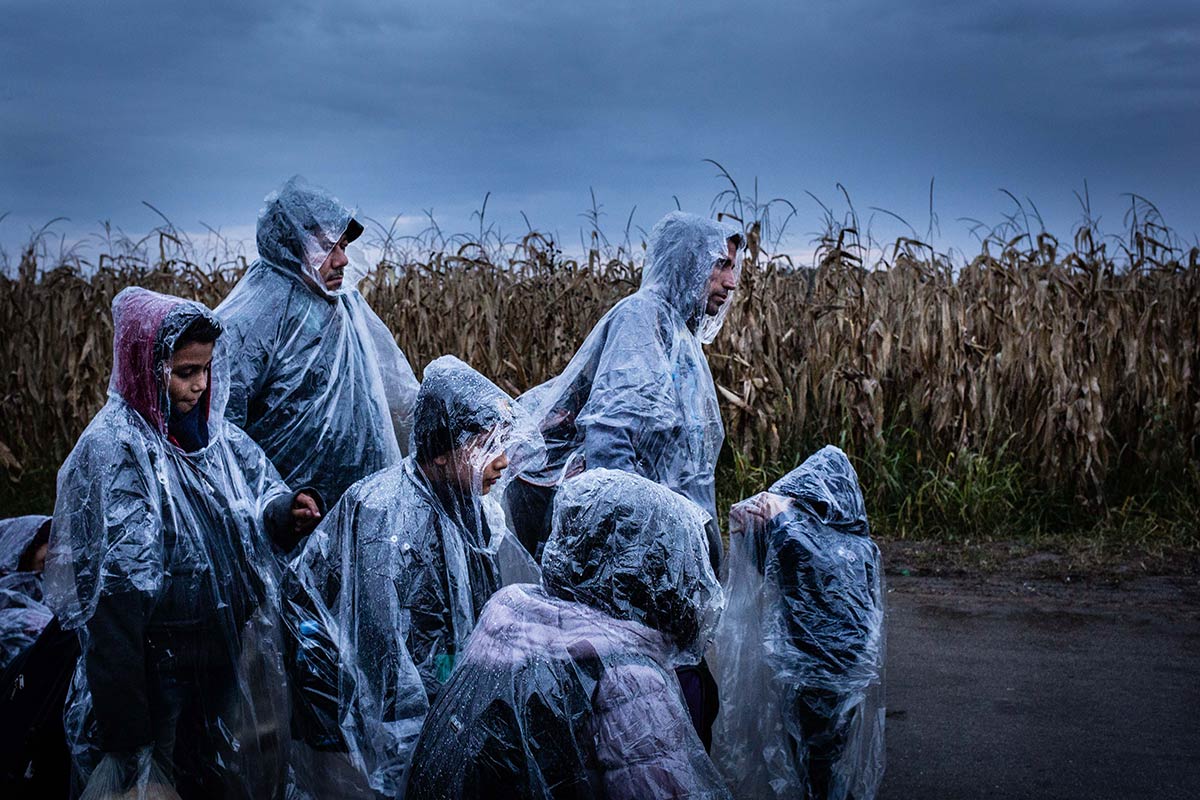 Foto di Kristof Vadino