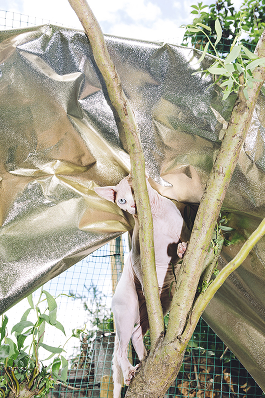 Foto di Stephanie Braun